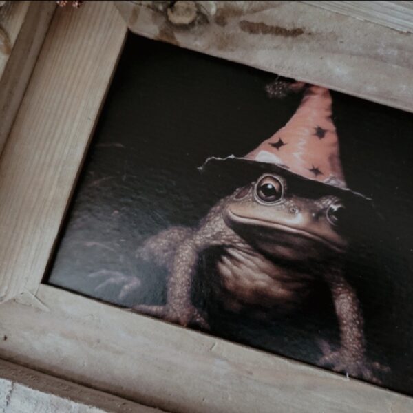 Merlin - 16x20 Vintage Inspired Rustic Framed Print