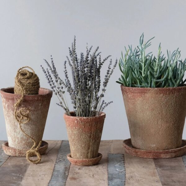 Aged Conservatory Pot w/saucer